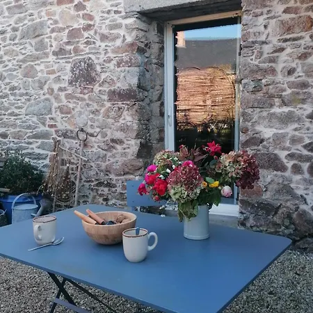 La Ruine Du Jardin
